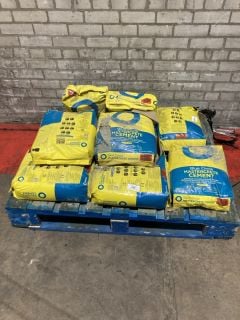 10X OF BLUE CIRCLE MASTERCRETE CEMENT 25KG