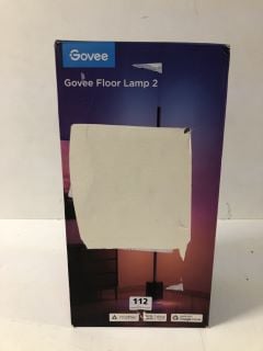 GOVEE FLOOR LAMP 2