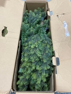 JOHN LEWIS & PARTNERS GREEN BRUNSWICK 6FT TREE: LOCATION - A5