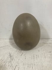 36 X STONE THE CROWS SMALL EGG - STONE - HEIGHT 13CM - TOTAL RRP £180