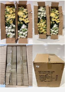 ROSE/IVY BUSH INNER BOX QUANTITY 48