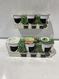 1 X BOX OF GARDEN ITEMS TO INCLUDE GROW YOUR OWN HERBS (GREEN TOTE NOT INCLUDED)