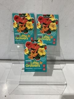 1 X BOX OF SEEDS TO INCLUDE TOMATO