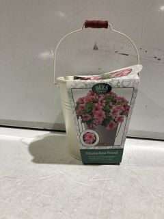 1 X BOX OF GARDEN ITEMS TO INCLUDE SWEET PEA GROW SET (GREEN TOTE NOT INCLUDED)