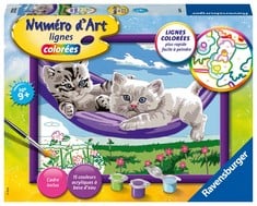 8 X RAVENSBURGER- NUMÉRO D'ART-MOYEN-CHATON DANS LE HAMAC CREATIVE LEISURE, COLOURFUL COLOUR, MEDIUM (4005556286799) - LOCATION 18C.