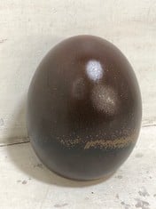 54 X STONE THE CROWS SMALL EGG - RUSSET - TOTAL RRP £270