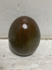 70 X STONE THE CROWS SMALL EGG - RUSSET - TOTAL RRP £350