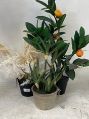 3 X ASSORTED ARTIFICIAL PLANTS TO INCLUDE ORANGE TREE (COLLECTION ONLY)