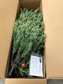 7FT PRE LIT GRAND NOTTINGHAM FIR CHRISTMAS TREE: LOCATION - A5