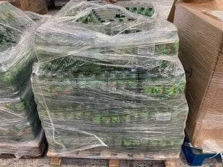 PALLET OF MOUNTAIN DEW CITRUS BLAST 500ML BOTTLES BBE DEC 24: LOCATION - B6 (KERBSIDE PALLET DELIVERY)