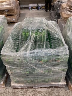 PALLET OF MOUNTAIN DEW CITRUS BLAST 500ML BOTTLES BBE DEC 24: LOCATION - B6 (KERBSIDE PALLET DELIVERY)