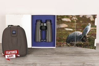 ZEISS VICTORY SF 10X42 BINOCULARS. INCLUDING CARRY POUCH, USER MANUAL AND BOX - RRP £2379: LOCATION - BOOTH