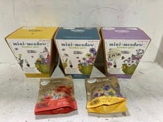 BOX OF ASSORTED GARDEN SEED ITEMS TO INCLUDE SEEDBALL COMMON POPPY NATIVE WILDFLOWER SEEDS