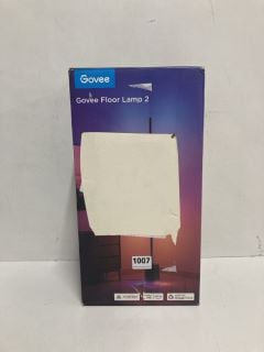 GOVEE FLOOR LAMP 2