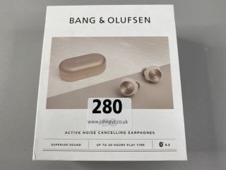 BANG AND OLUFSEN EQ EARPHONES