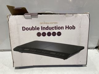 1 X PALLET OF ITEMS TO INCLUDE DOUBLE INDUCTION HOB