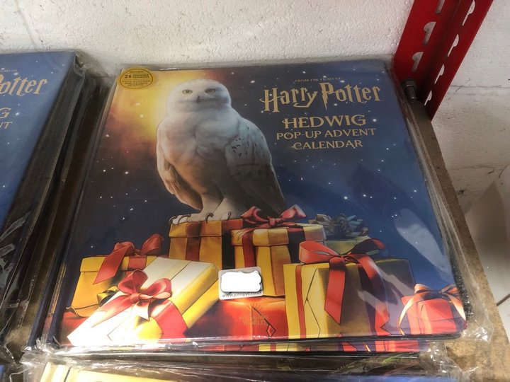 John Pye Auctions - 2X HARRY POTTER HEDWIG POP - UP ADVENT CALENDAR:  LOCATION - J1