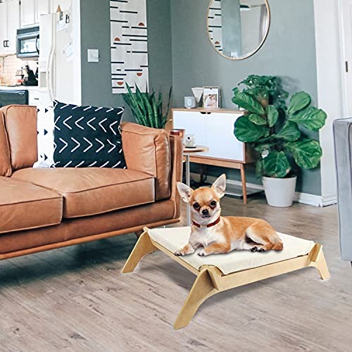 John Pye Auctions 10 X ALL FOR PAWS CAT ELEVATED BED LIFTED COOLING